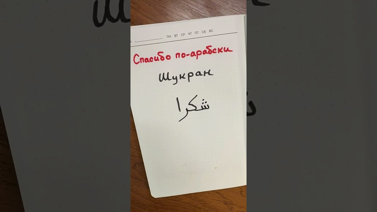 Спасибо по-арабски🤗#арабскийязык #арабскийонлайн #оаэ #shorts