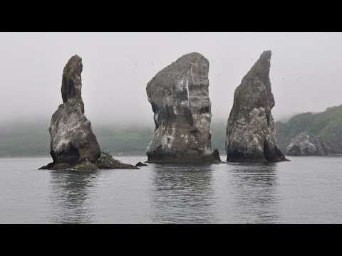 Wideo: Zatoka Avacha (Kamczatka): opis, temperatura wody