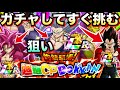 『超絶CPフェス』80連ガチャして出たキャラですぐ挑む！！ビースト出てくれ！！【ドッカンバトル】【地球育ちのげる】