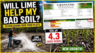 Will Lime Help My Bad Soil | Establishing New Food Plots
