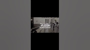 محمد اللحيدان سورة الذاريات #quran #viral #اكسبلور #islam #trustonallah #caketraining #truedialogue