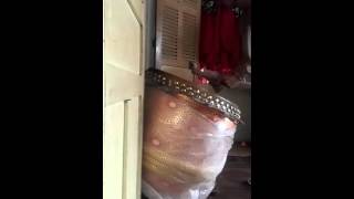 Video Thumbnail for Đoàn Lân Sư Rồng Bạch Ngọc Đường - Tp Huế , Việt Nam ( Te...