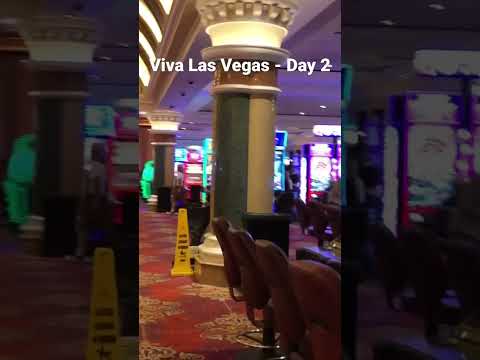 *CAESAR SLOTS* jungle legend FEATURE