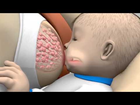Breast Milk 2 Phase Expression by Medela