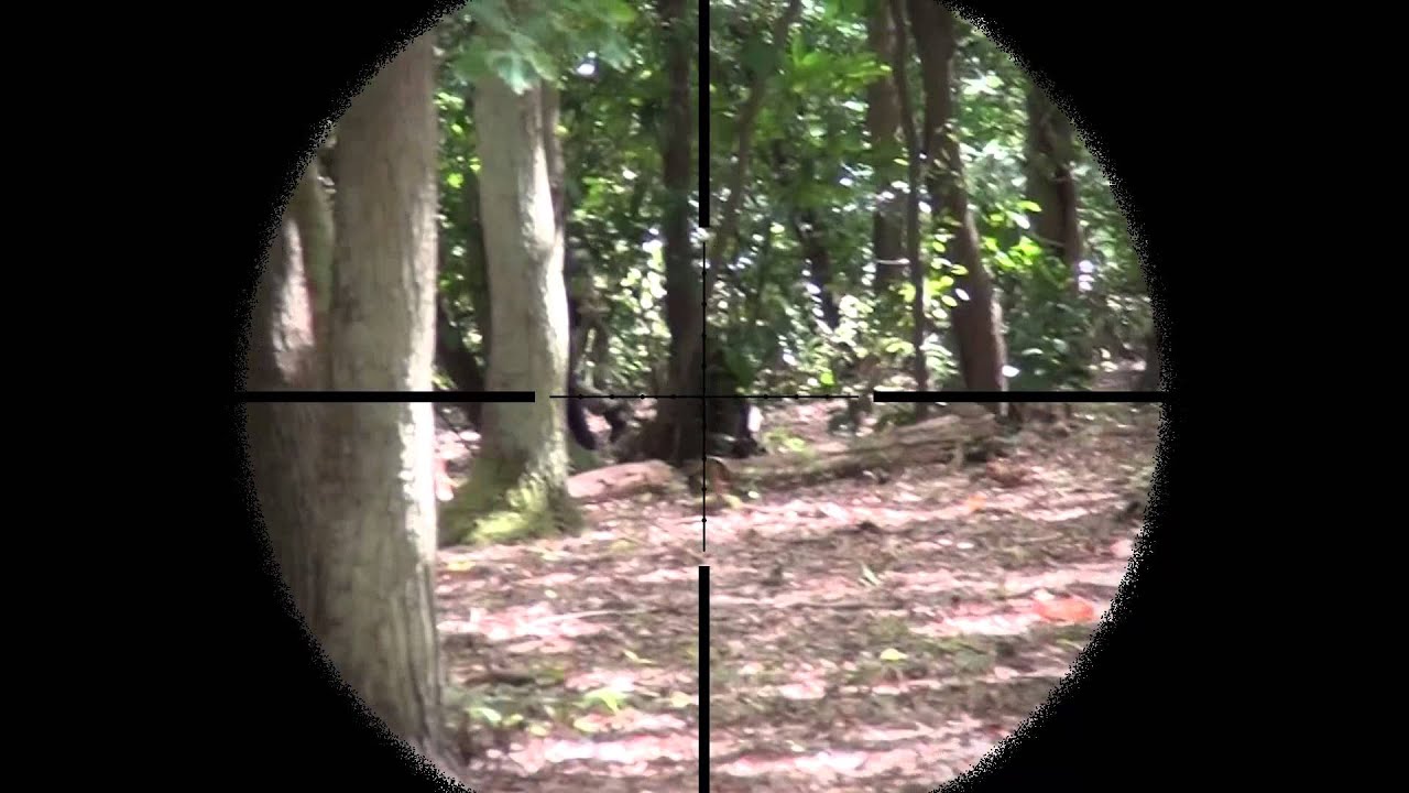 [AIRSOFT] Sniper Scope Cam Bolt 400 Fps 3 CA M24 Military Custom