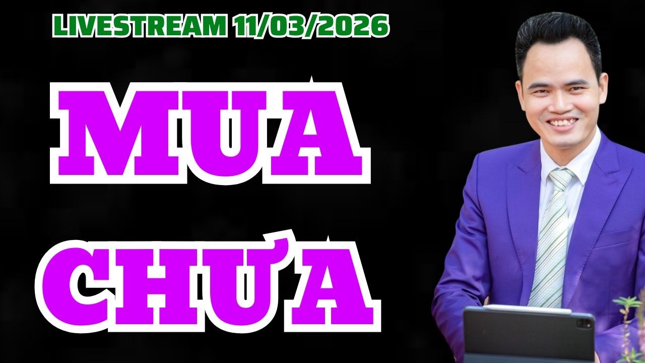 VNINDEX tăng mạnh | Đã tạo đáy chưa | Đã nên mua chưa?