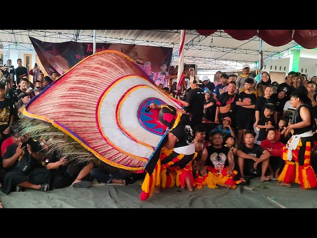 MERINDING.!!! ATRAKSI KEREN PARA PEMBARONG REOG PONOROGO MEMAINKAN DADAK MERAK RAKSASA BIKIN KAGUM class=