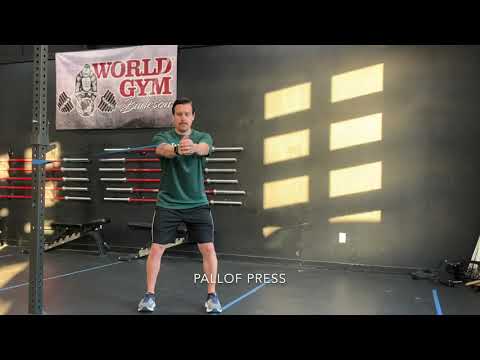 Pallof Press | ACE Physio & Performance, PLLC