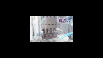 Capsule Automatic Filling Machine – Precision, Efficiency & Hygiene!