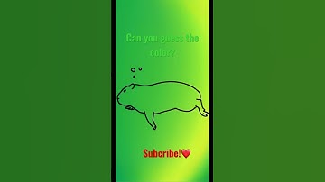 Can you guess the color? #utubeeshorts #bored #capybara #viral #fyp #shorts #trending #digitalart