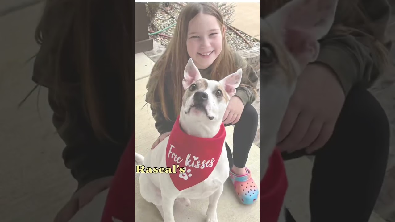 After 4 years in a shelter, Rascal is ready to go home!