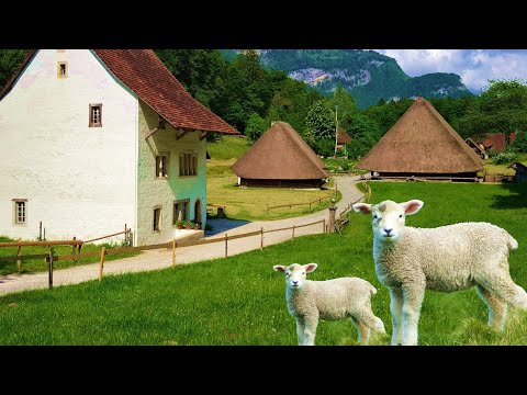 Video: Rumah pertanian bersejarah berubah menjadi ruang kantor asli di Swiss