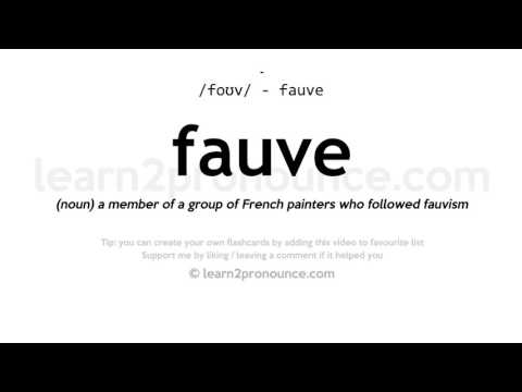 Pronunciation of Fauve | Definition of Fauve