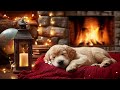 12 Hours of Calming Dog Music 🎵 Gentle Sounds for Happy, Relaxed Dogs at Home 🐶
