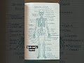 English Skeletal System | Learn Human Bones Easily,, I Learn and Success