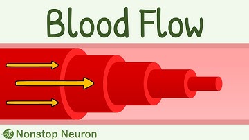 Blood Flow: Laminar vs Turbulent || Reynold