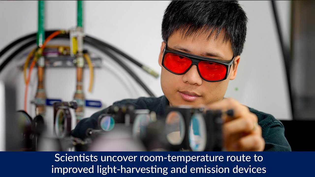 Scientists uncover room-temperature route to improved light-harvesting ...