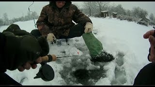 Зимняя рыбалка - Ловля ротана(Ловля ротана зимой на мотыль Berkley Зимняя удочка Salmo pro trout: https://www.youtube.com/watch?v=nA8R56Ppchw., 2016-01-18T17:25:16.000Z)