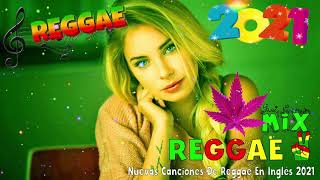 REGGAE DO MARANHÃO 2021 - Melhor Música Reggae Do Maranhão - Reggae Remix 2021