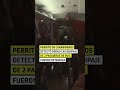 Perrito de carabineros detectó droga