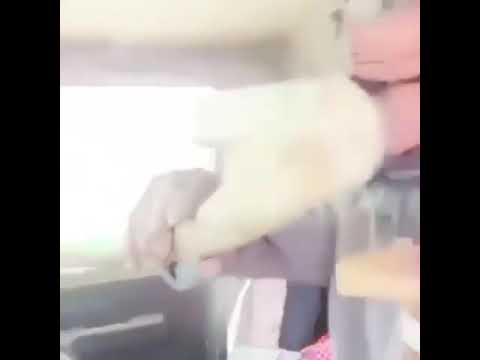 يشرب الجم من كان ضلعه متين