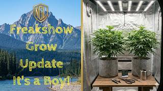Indoor Grow Update Summer 2026 | Freakshow Reveal | Northern Grower Life