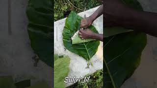 Sukri Jil Pork Meat Piggly Wiggly A Bacon Odyssey