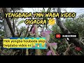 Yengbada Ymn Waba Video Leijare 