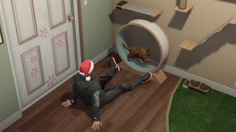 [ ESX ] Fivem Qbus Cat Coffee Job V2 - Fivem Script : Fivem Shop | Best FiveM Scripts Free