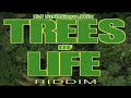 Trees Of Life Riddim Mix' 2025_Jah Frozen_Inezi _Nya  ( Spitaya Mic