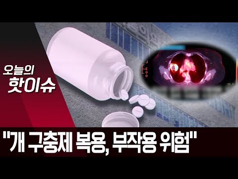개 구충제 항암효과 소문 확산…식약처 “부작용 위험” | 뉴스A
