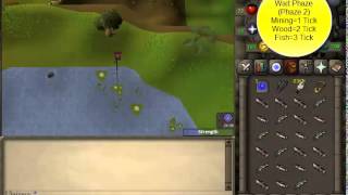 In Depth Explanation Of The Tick System