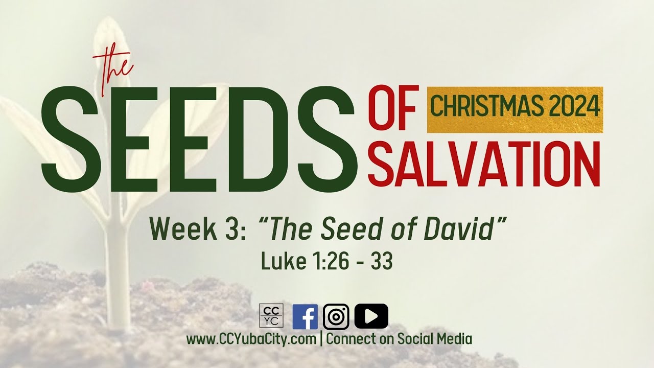 "King of Kings" | Luke 