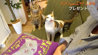 視聴者様から段ボールが送られてきた