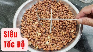 Đây là cách bóc vỏ lụa Đậu Phộng rang (Lạc Rang) rất nhanh | Top 10 Sáng Tạo
