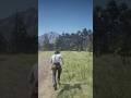 Shenanigans in story mode #reddeadredemtion2 #gaming #rdr2