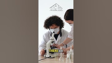 How Your Job Shapes Your Identity