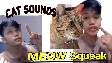 Dlow,Remix How to Beatbox - Meow Squeak Cat Sounds Tutorial
