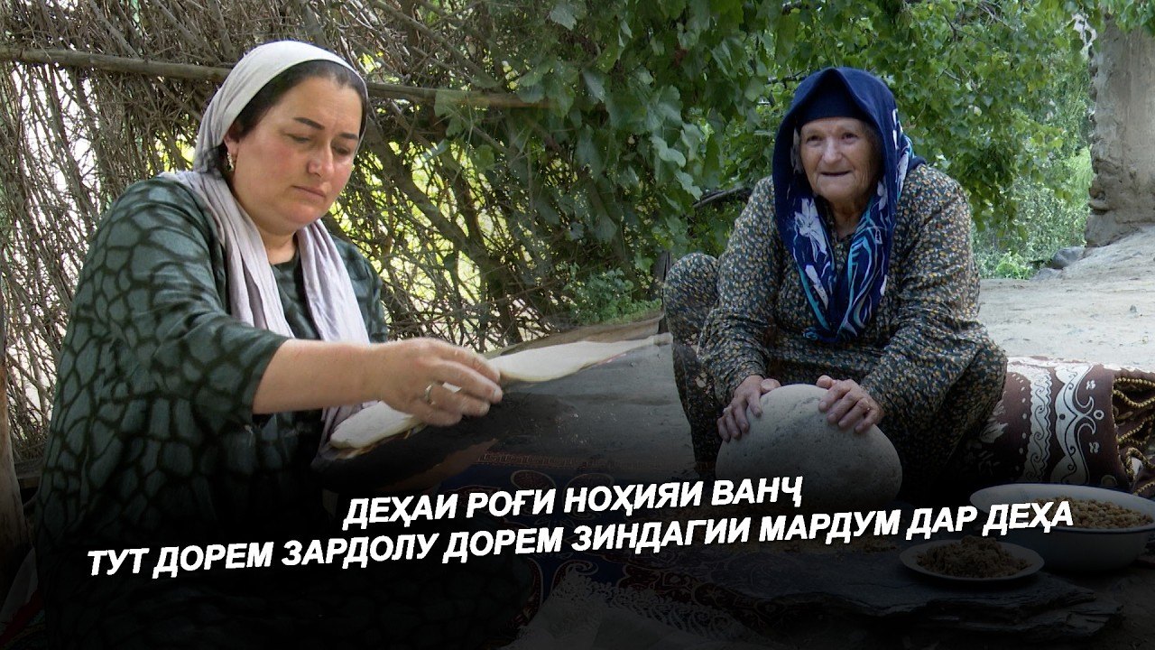 ДЕҲЕИ РОҒ НОҲИЯИ ВАНҶ / ТУТ ДОРЕМ ЗАРДОЛУ ДОРЕМ ЗИНДАГИИ МАРДУМ ДАР ДЕҲОТ / Деҳаи Ман