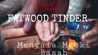 Fatwood Natural Alami-300gr