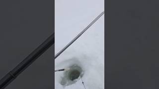 Доработка багорика для зимней рыбалки