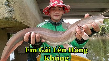 #87|Điểm Câu Cá Mới Lên Hàng✅Cá Ngát/Cá Tráp(Hanh)🐠/Sự Cần Giờ