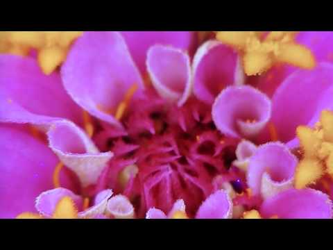一期一会　中島みゆき　Covered By MOMO