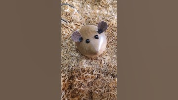 Made a wooden mouse, Short