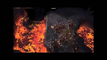 The Nydus Network by Acidragoon