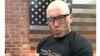 Joe Rogan’s Trans Obsession