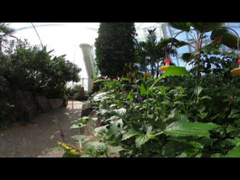 Vídeo: The Niagara Parks Butterfly Conservatory: La guia completa