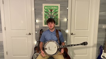 Redwing Melodic Banjo