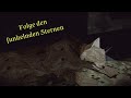Shelter 2 - Folge den funkelnden Sternen -  Let's Play (Deutsch)