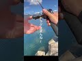 メータークラスかかっても余裕だったタックル
